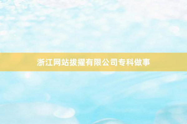 浙江网站拔擢有限公司专科做事